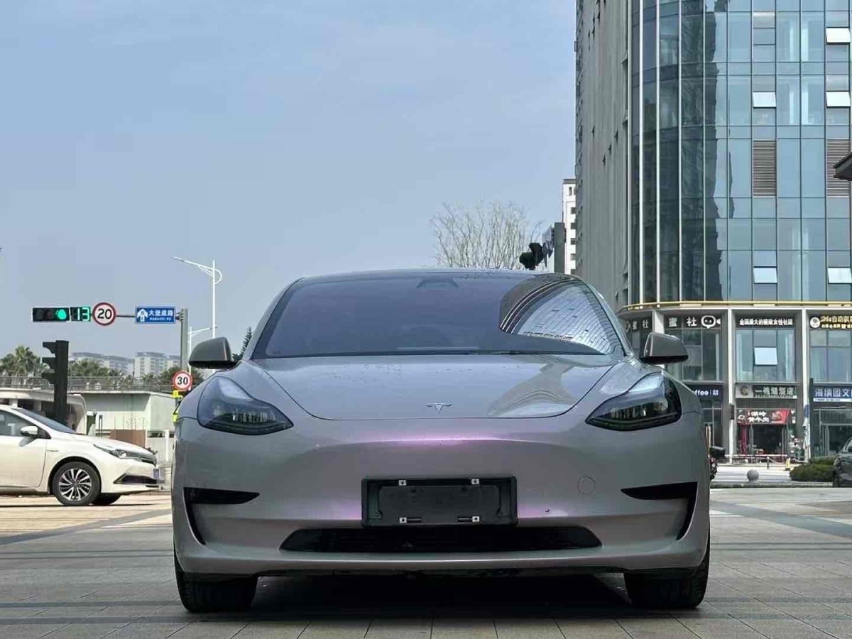 2021年6月特斯拉 Model 3  2021款 標(biāo)準(zhǔn)續(xù)航后驅(qū)升級版 3D6