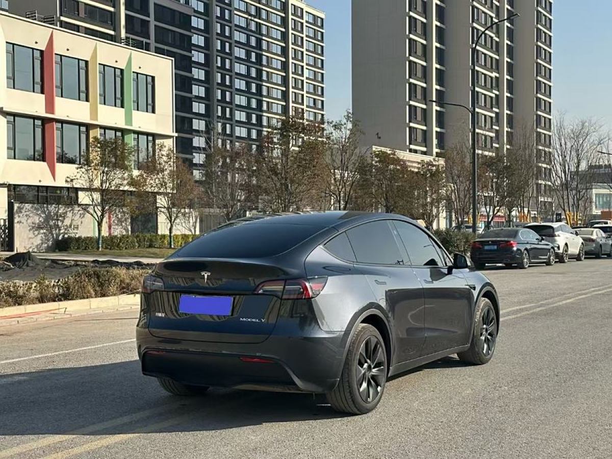 特斯拉 Model 3  2020款 改款 長(zhǎng)續(xù)航后輪驅(qū)動(dòng)版圖片