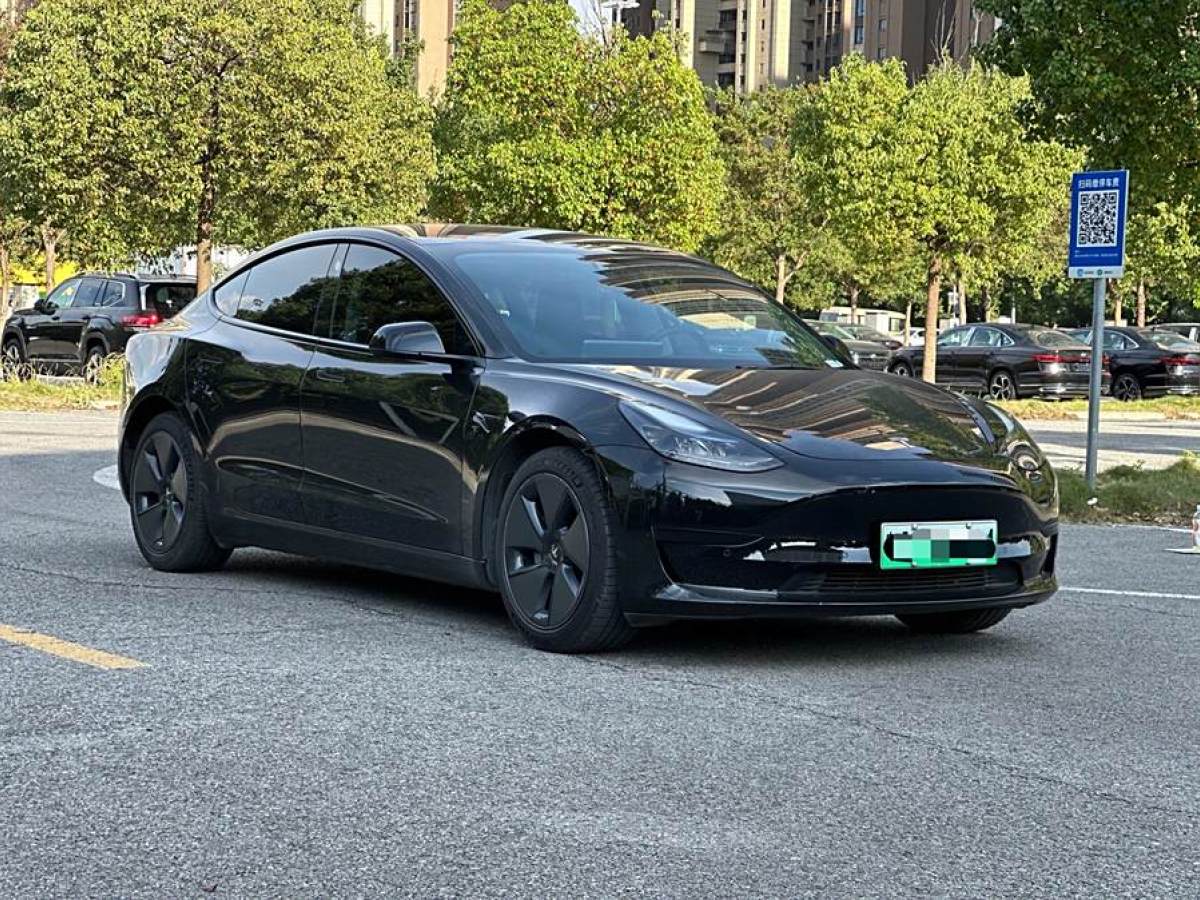 特斯拉 Model 3  2021款 改款 標(biāo)準(zhǔn)續(xù)航后驅(qū)升級(jí)版圖片