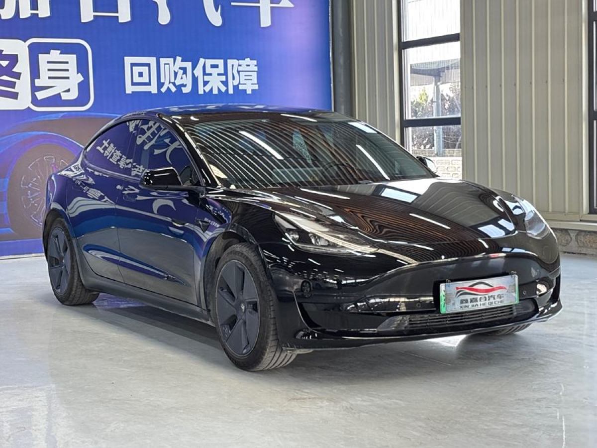 2021年1月特斯拉 Model 3  2021款 改款 標(biāo)準(zhǔn)續(xù)航后驅(qū)升級版