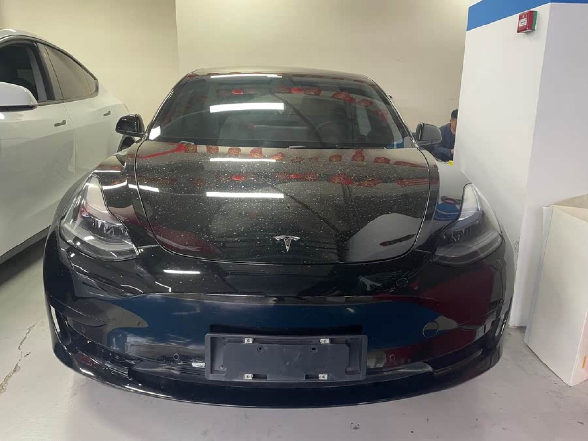 特斯拉 Model 3  2022款 后輪驅(qū)動版圖片