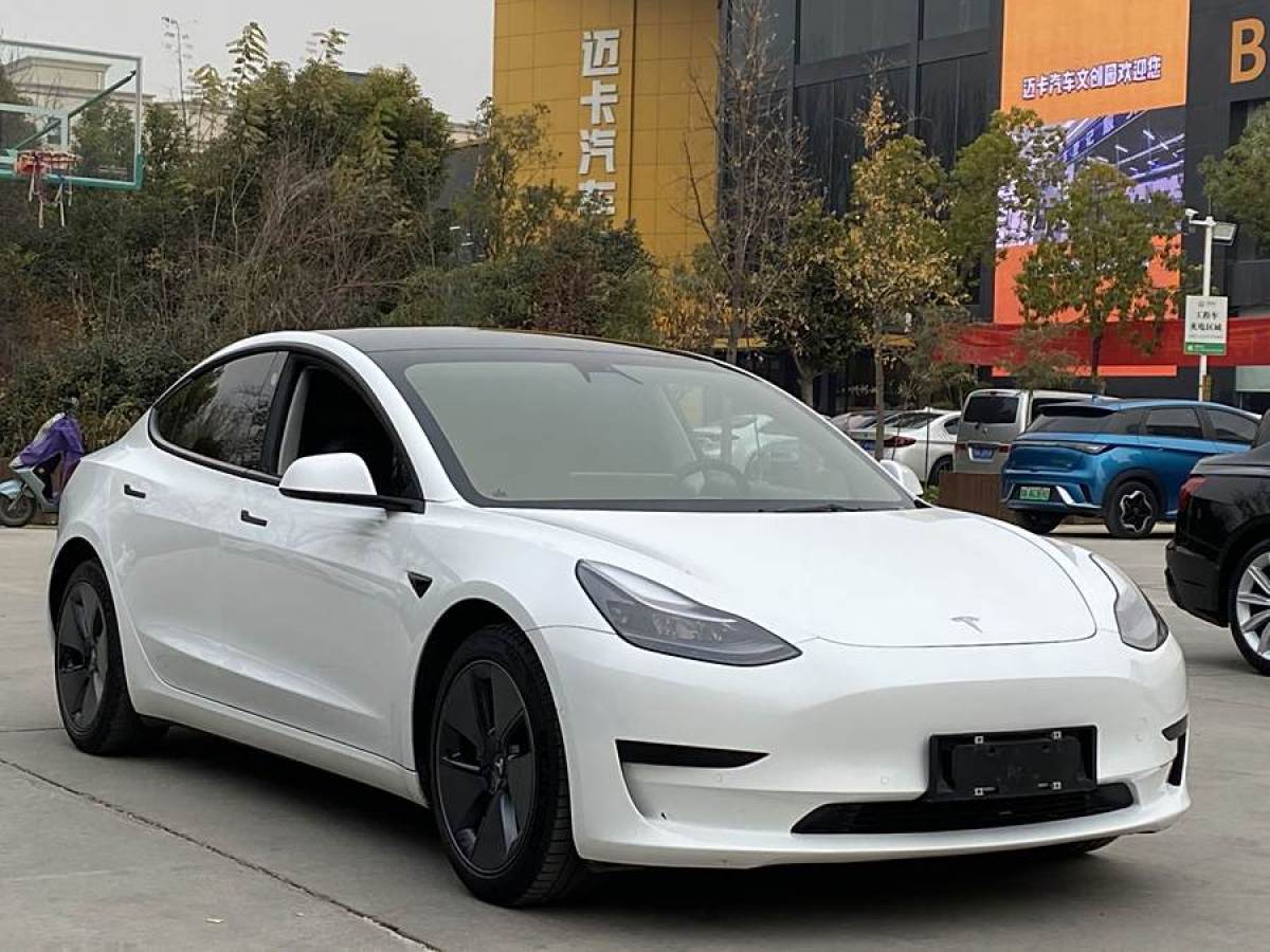 特斯拉 Model 3  2021款 改款 標準續(xù)航后驅升級版圖片