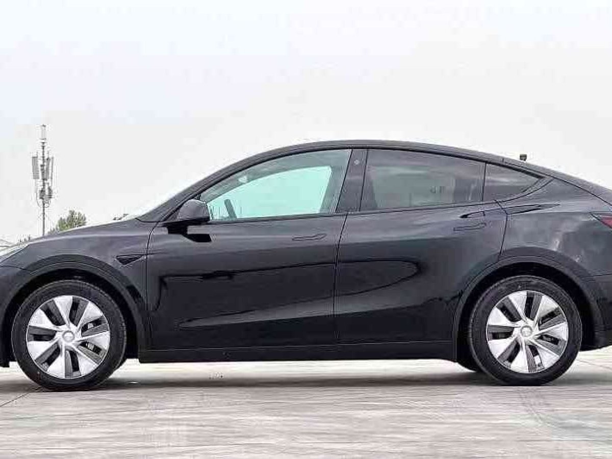 特斯拉 Model Y  2024款 后輪驅(qū)動版圖片