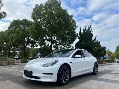 2021年3月 特斯拉 Model 3 標(biāo)準(zhǔn)續(xù)航后驅(qū)升級(jí)版圖片