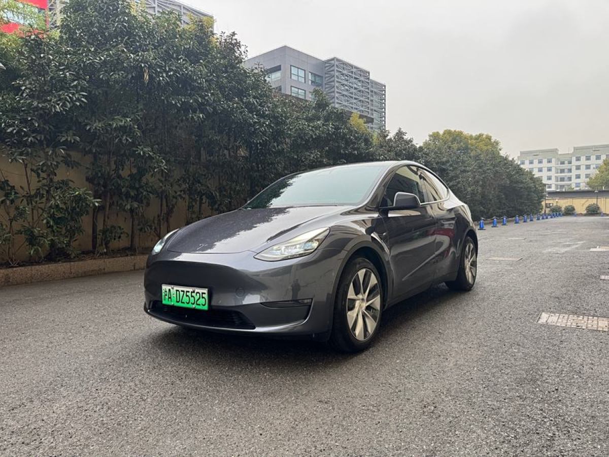 2021年3月特斯拉 Model Y  2021款 改款 長續(xù)航全輪驅(qū)動版