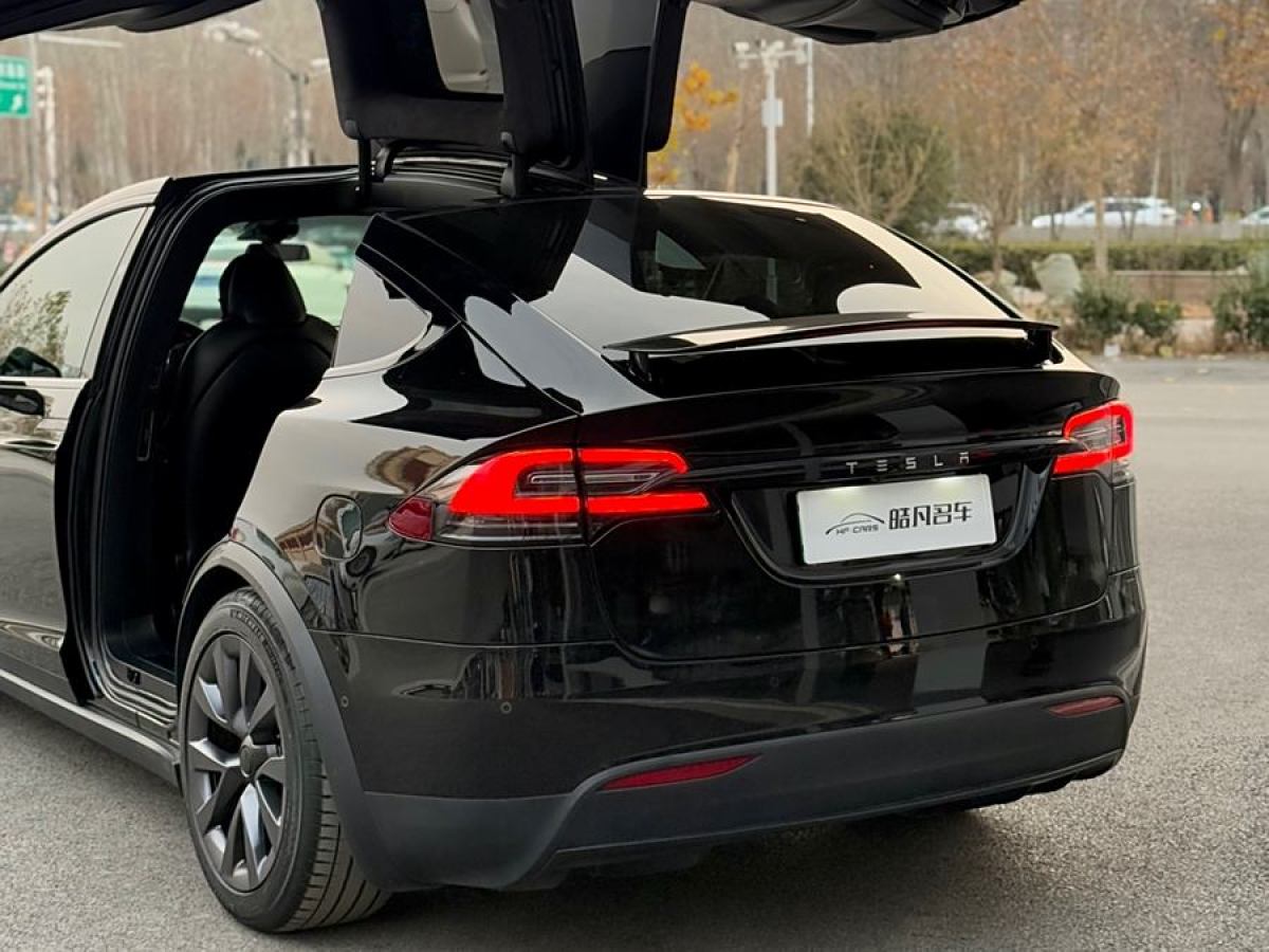 特斯拉 Model X  2019款 長續(xù)航版圖片