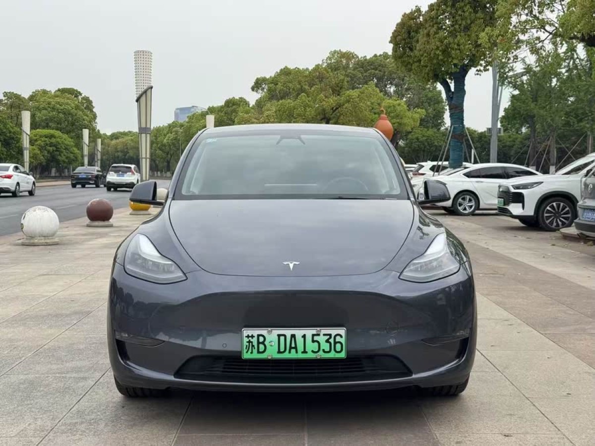 特斯拉 Model Y  2021款 標(biāo)準續(xù)航后驅(qū)版圖片