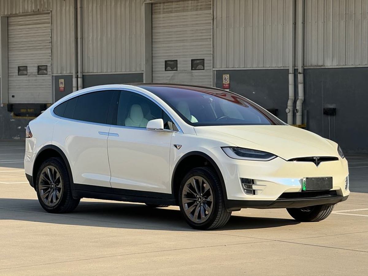 特斯拉 Model X  2017款 Model X 100D 長(zhǎng)續(xù)航版圖片