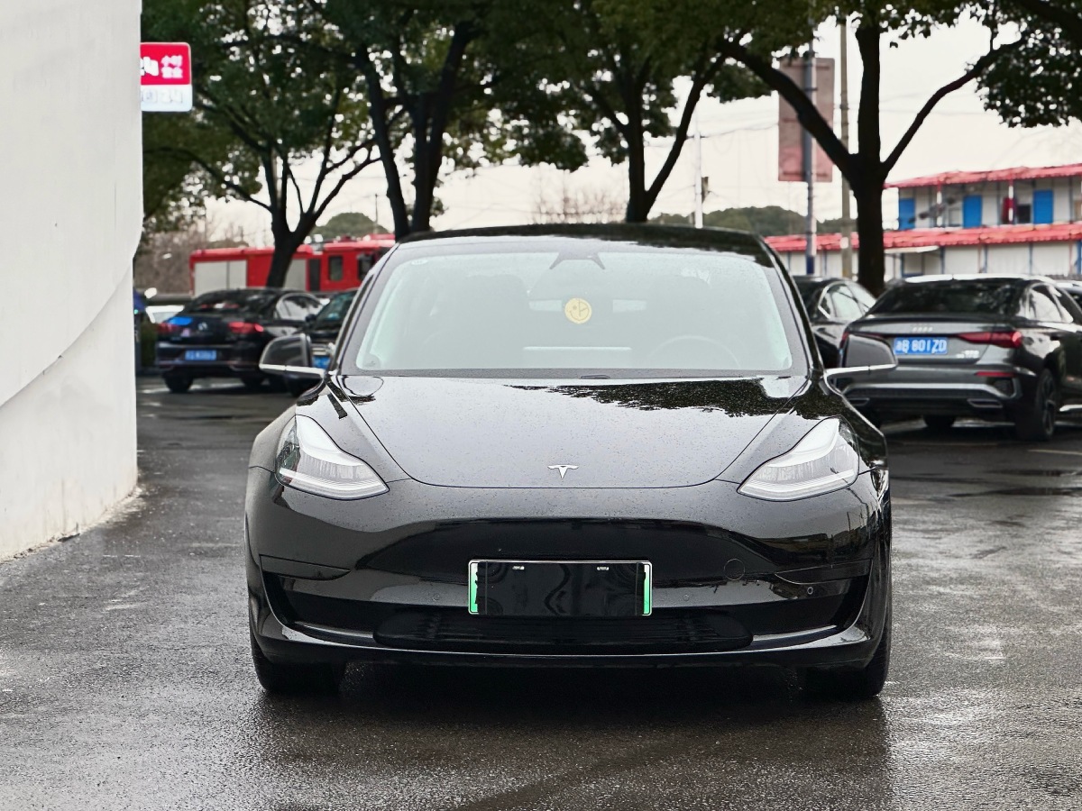 特斯拉 Model 3  2019款 標(biāo)準(zhǔn)續(xù)航后驅(qū)升級(jí)版圖片