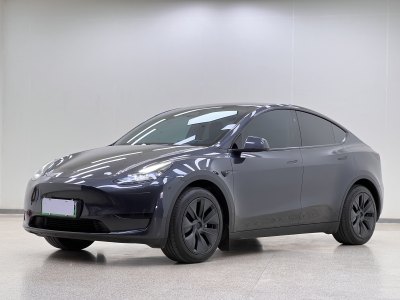 2024年4月 特斯拉 Model Y 改款 長續(xù)航后輪驅(qū)動(dòng)版圖片