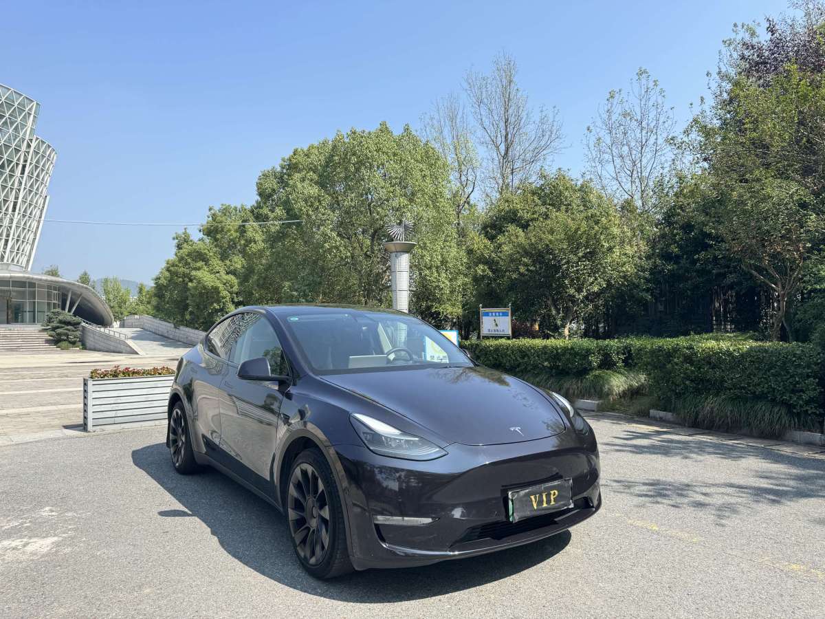 特斯拉 Model Y  2021款 改款 標準續(xù)航后驅升級版圖片