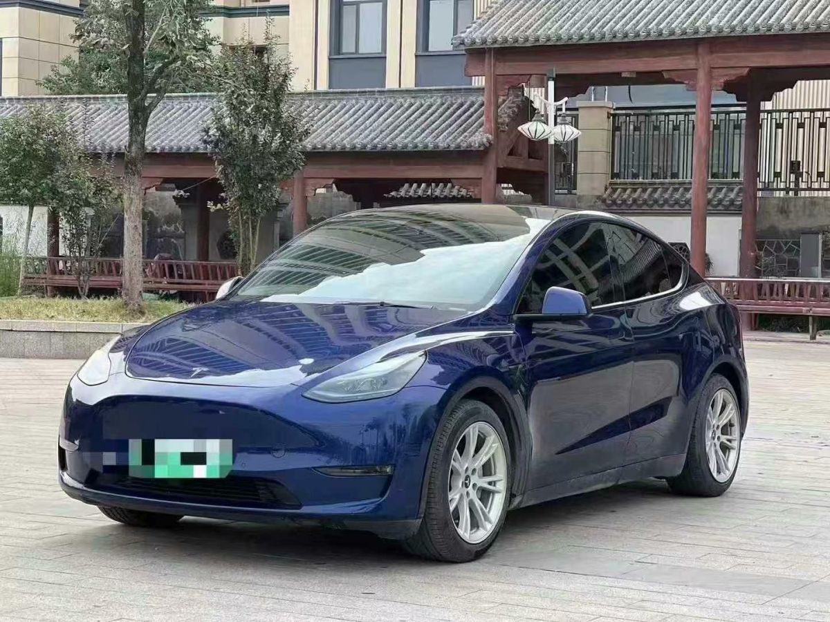 特斯拉 Model 3  2022款 Performance高性能全輪驅(qū)動(dòng)版圖片