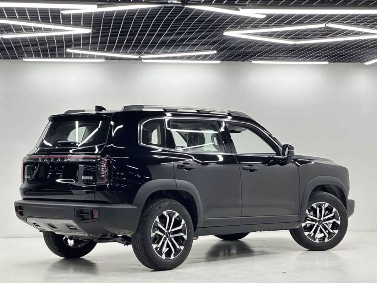 哈弗 哈弗大狗  2024款 1.5T DCT邊牧版圖片