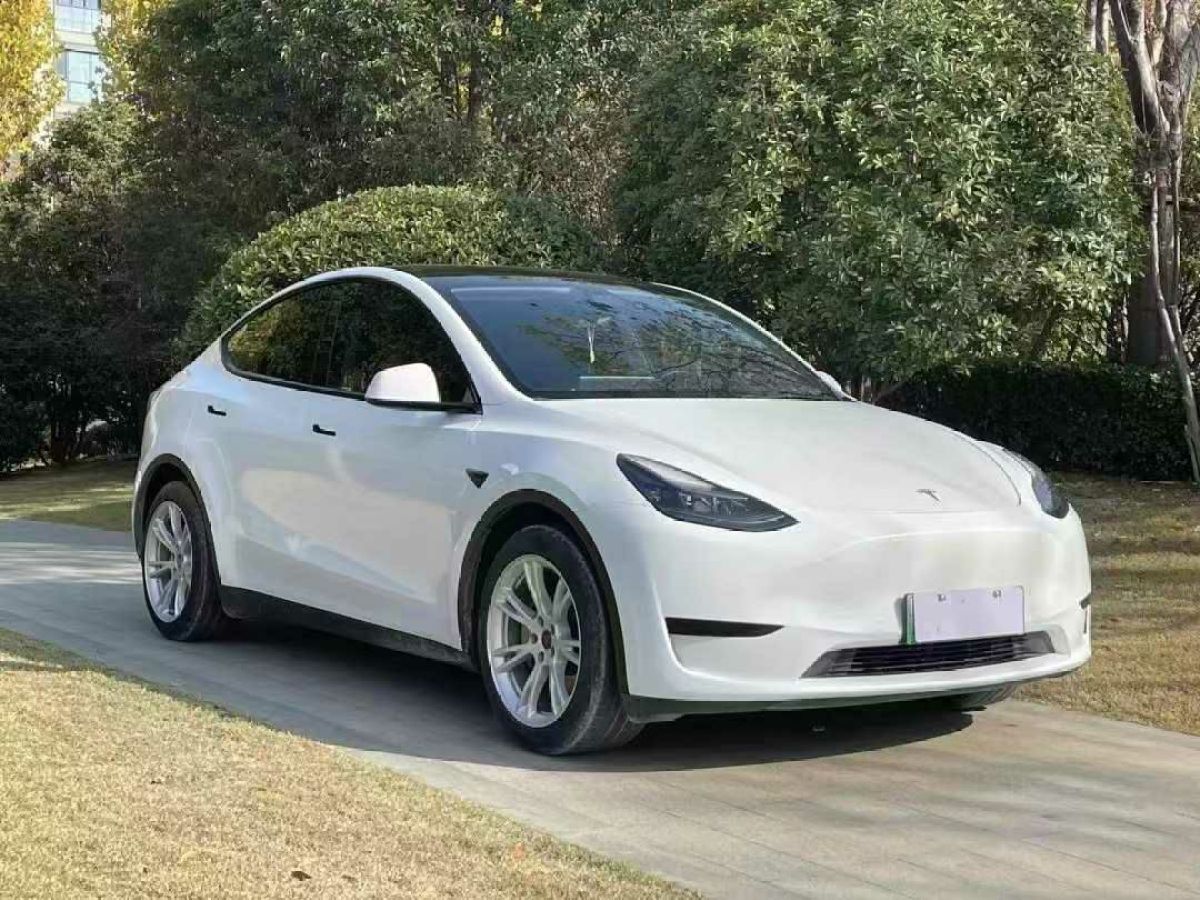 特斯拉 Model 3  2022款 Performance高性能全輪驅(qū)動版圖片