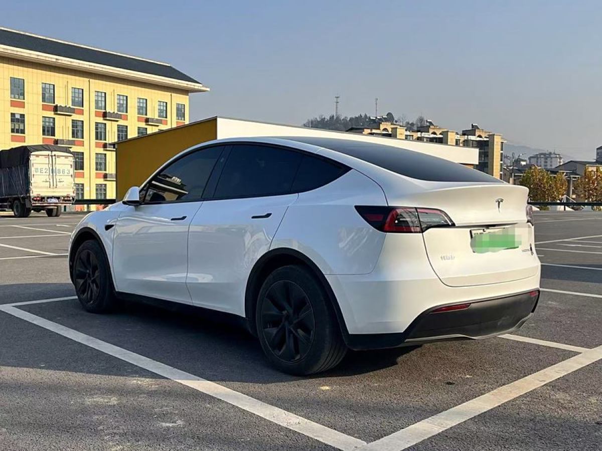 特斯拉 Model 3  2020款 改款 長續(xù)航后輪驅動版圖片