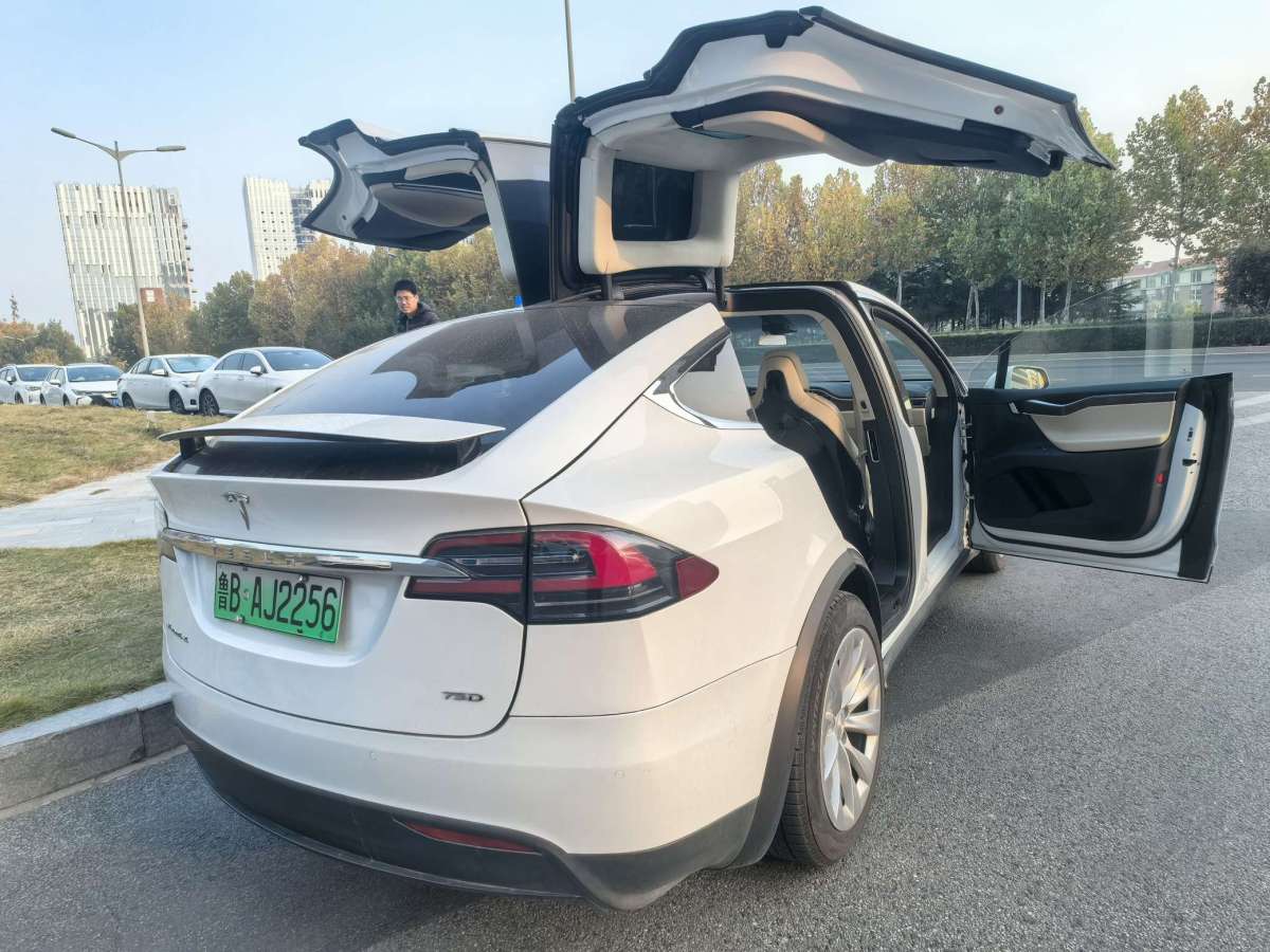 特斯拉 Model X  2016款 Model X 75D圖片