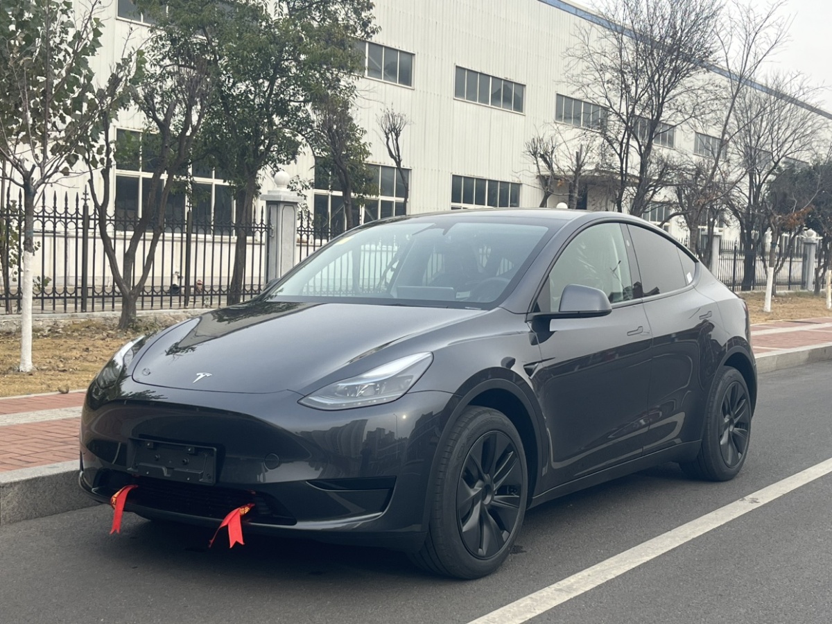 特斯拉 Model 3  2022款 后輪驅(qū)動(dòng)版圖片