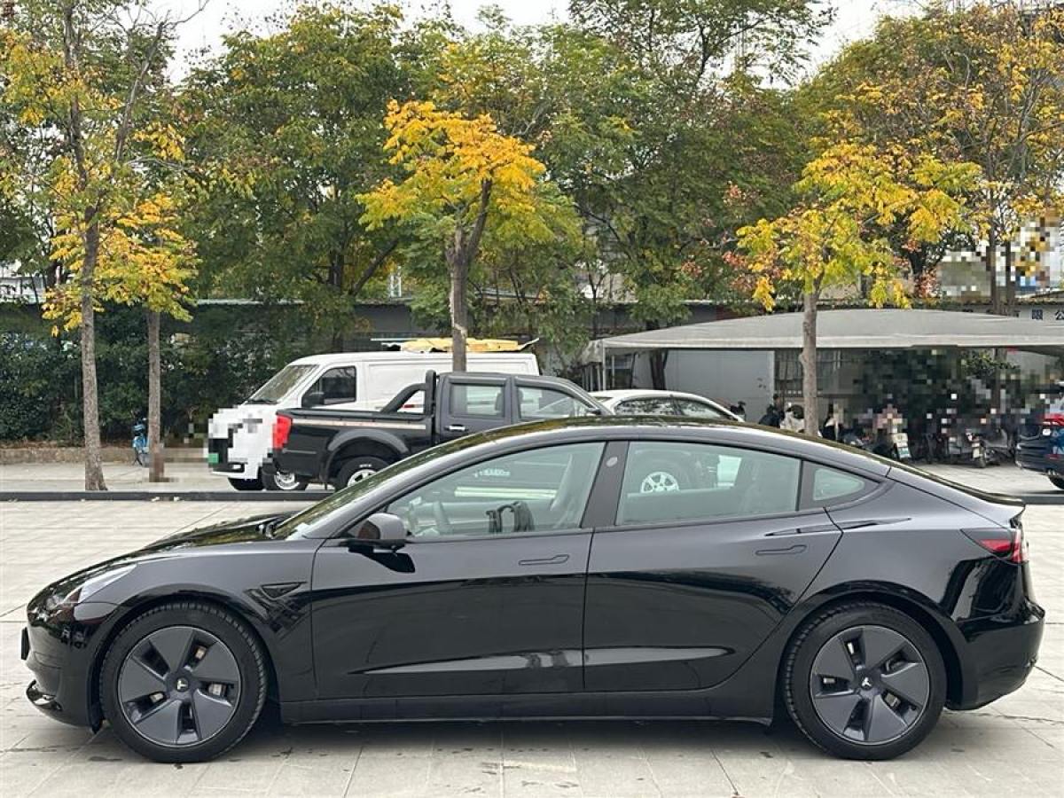 特斯拉 Model 3  2021款 標(biāo)準(zhǔn)續(xù)航后驅(qū)升級(jí)版 3D6圖片