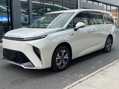 2025年1月 上汽大通 上汽大通MAXUS MIFA 9 長(zhǎng)續(xù)航 行政七座版圖片