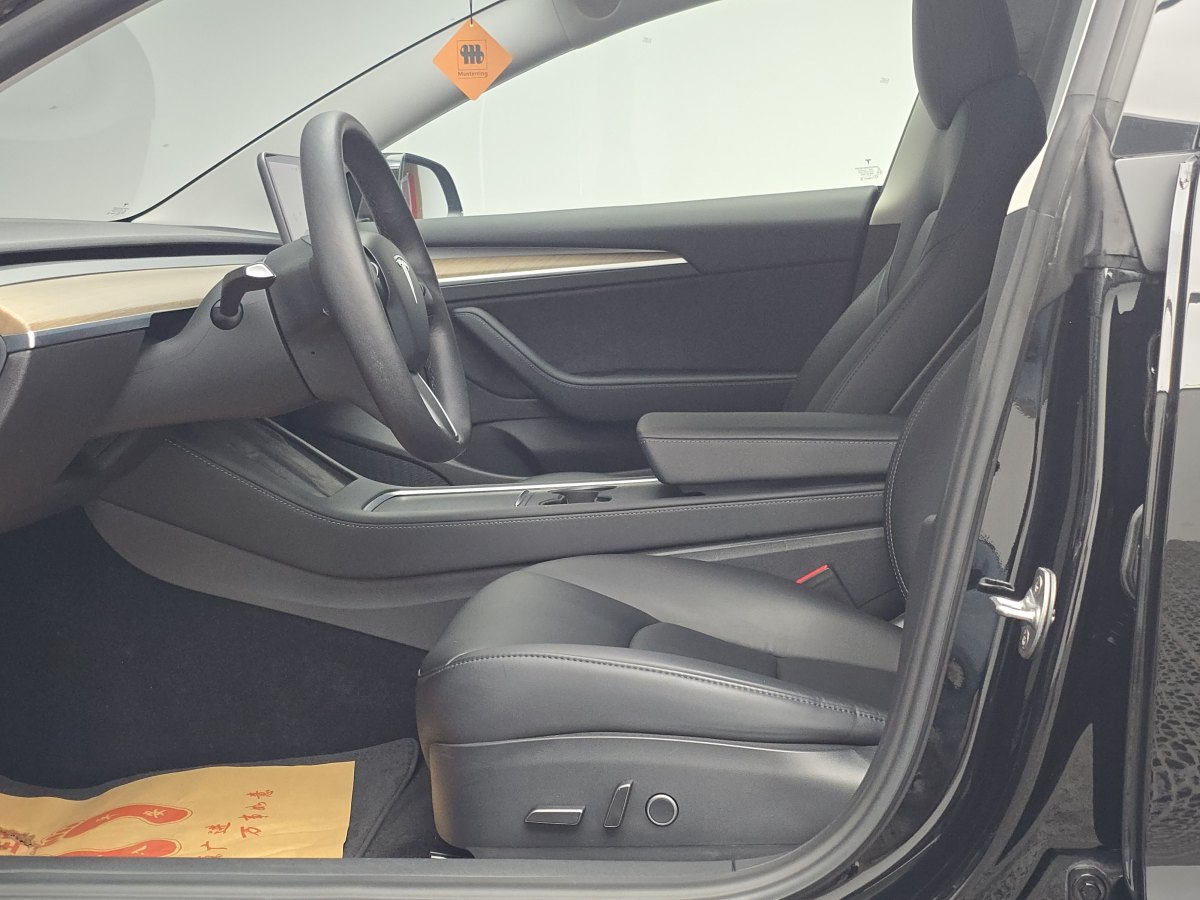 特斯拉 Model 3  2019款 標(biāo)準(zhǔn)續(xù)航后驅(qū)升級(jí)版圖片