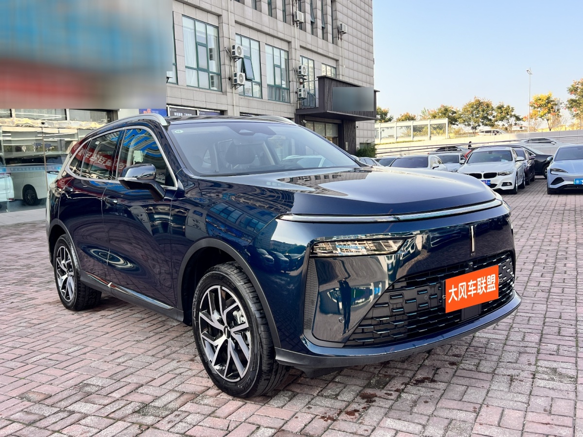 WEY 拿鐵DHT-PHEV  2022款 1.5T 四驅(qū)超大杯圖片