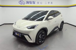 海鷗 比亞迪 305km 自由版