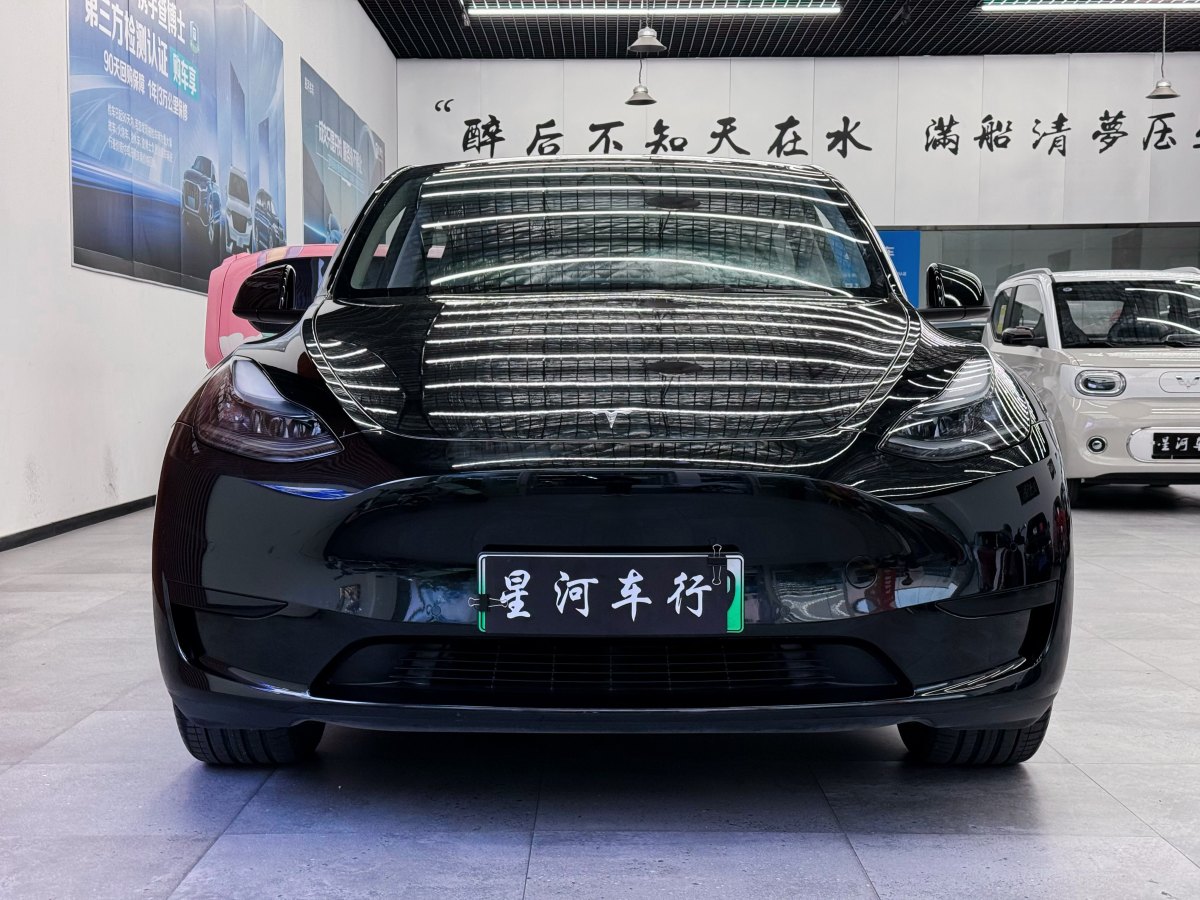 特斯拉 Model Y  2020款 改款 长续航后轮驱动版图片