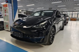 Model Y 特斯拉 改款 后輪驅(qū)動版