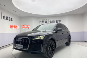 奧迪Q7 奧迪 45 TFSI quattro S line運動型