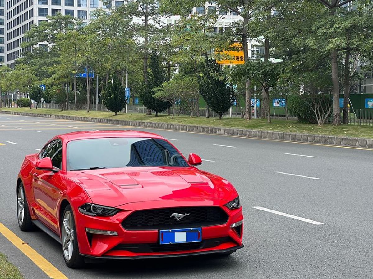 福特 Mustang  2019款 2.3L EcoBoost 性能加強(qiáng)版圖片