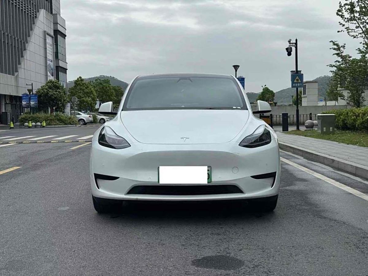 特斯拉 Model Y  2021款 改款 長續(xù)航全輪驅(qū)動版圖片