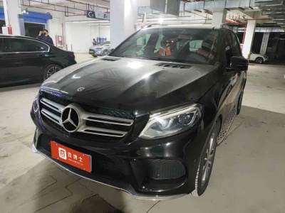 2019年3月 奔馳 奔馳GLE(進(jìn)口) GLE 320 4MATIC 動(dòng)感型臻藏版圖片