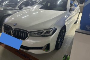 寶馬5系 寶馬 530Li 領(lǐng)先型 豪華套裝