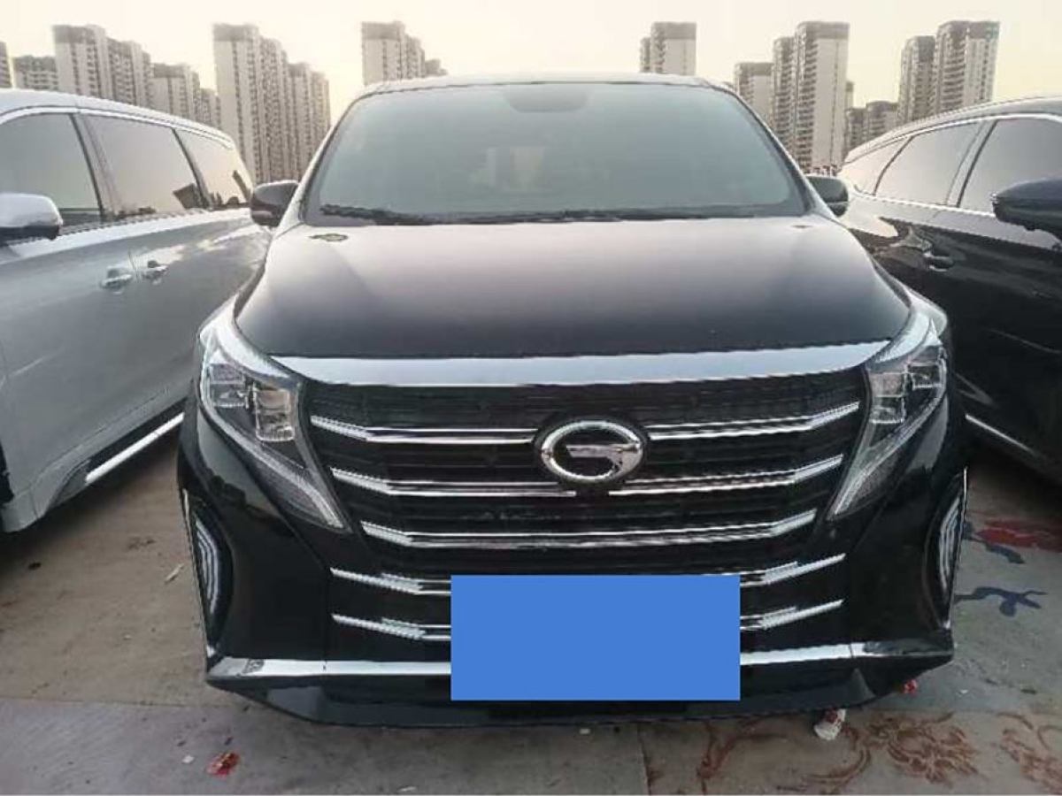 廣汽傳祺 M8  2020款 領(lǐng)航款 390T 尊貴版圖片