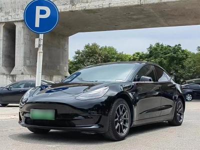 2020年3月 特斯拉 Model 3 標(biāo)準(zhǔn)續(xù)航后驅(qū)升級(jí)版圖片