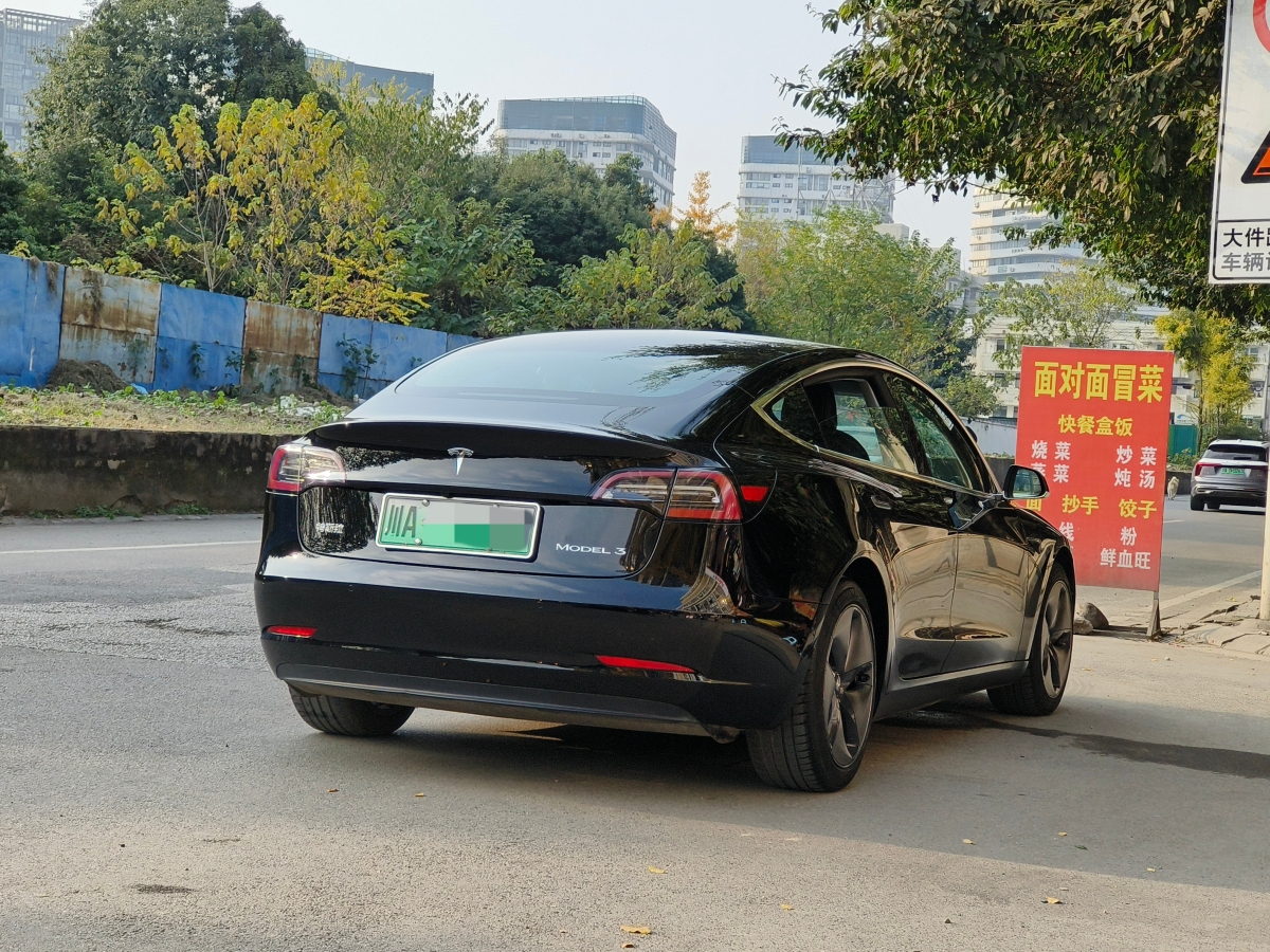 特斯拉 Model 3  2019款 標(biāo)準(zhǔn)續(xù)航后驅(qū)升級(jí)版圖片