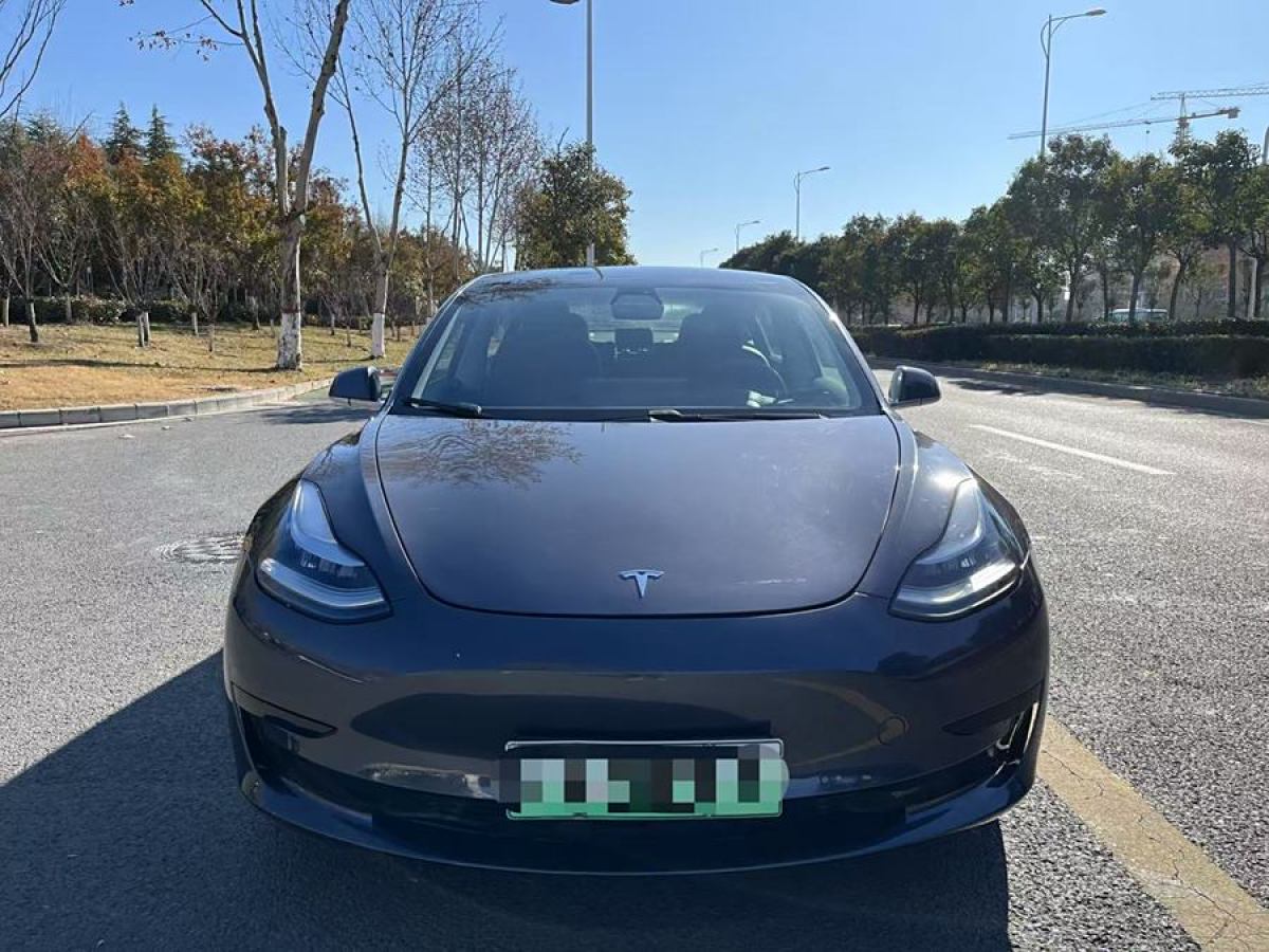 特斯拉 Model 3  2019款 標(biāo)準(zhǔn)續(xù)航后驅(qū)升級(jí)版圖片