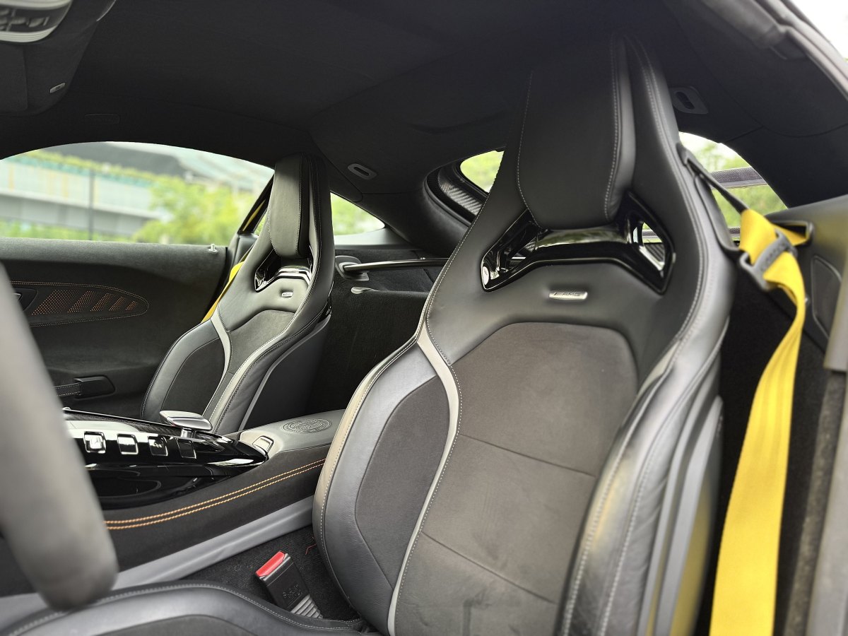 奔馳 奔馳AMG GT  2019款 AMG GT R圖片