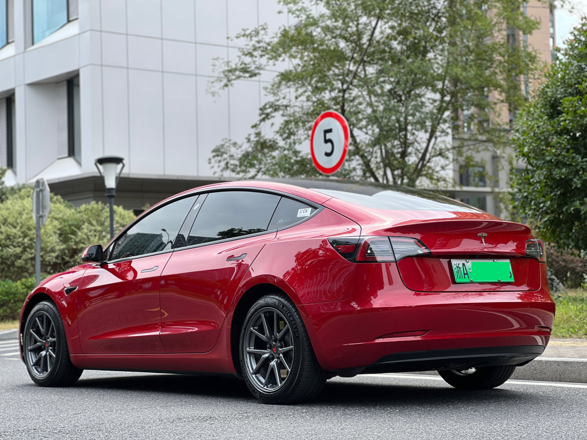 特斯拉 Model 3  2019款 標(biāo)準(zhǔn)續(xù)航后驅(qū)升級(jí)版圖片