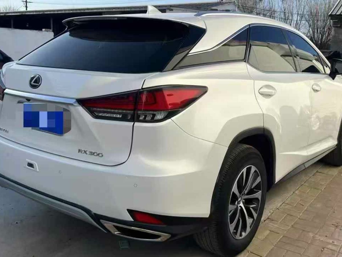 福特 全順  2022款 2.0T汽油多功能商用車中軸低頂上掀尾門國VI圖片
