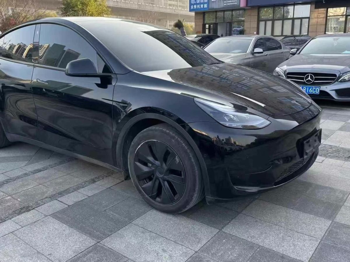 特斯拉 Model Y  2024款 Performance高性能版圖片