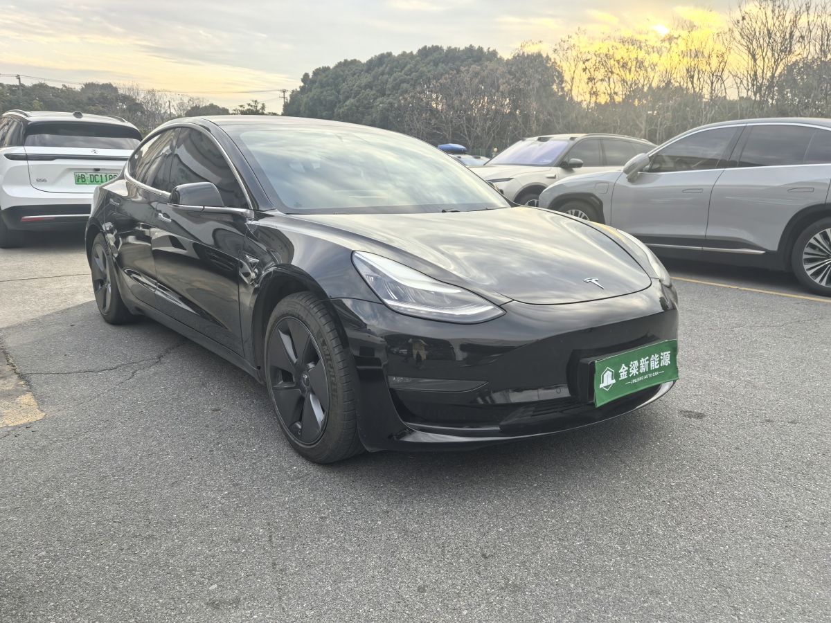 特斯拉 Model 3  2019款 長續(xù)航后驅(qū)版圖片