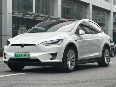 2021年1月 特斯拉 Model X 長續(xù)航升級(jí)版圖片