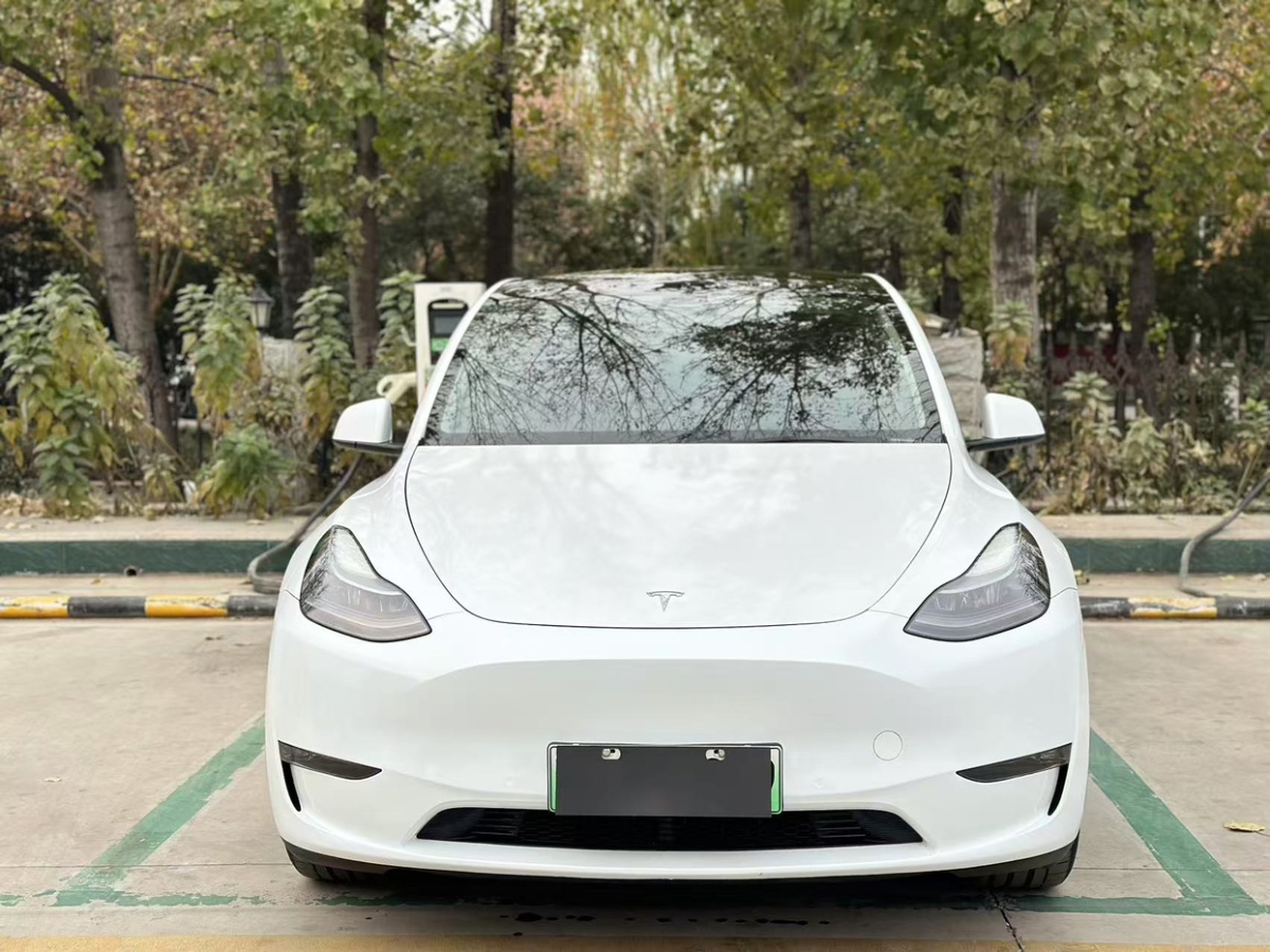 特斯拉 Model 3  2021款 改款 標準續(xù)航后驅升級版圖片