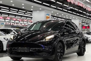 Model Y 特斯拉 改款 長續(xù)航全輪驅(qū)動版