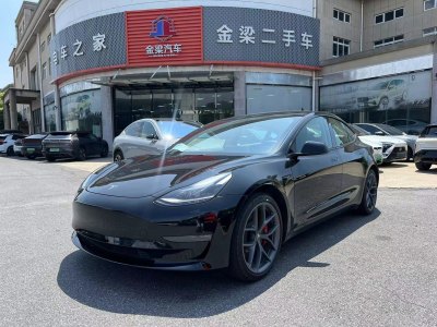 2021年3月 特斯拉 Model 3 Performance高性能全轮驱动版图片