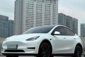Model Y 特斯拉 后輪驅(qū)動(dòng)版