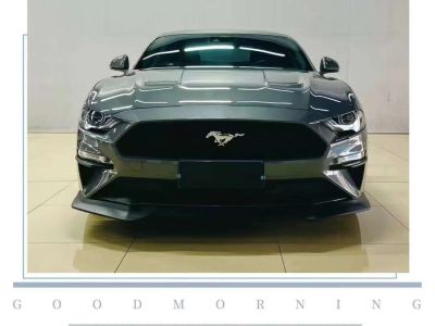 2024年5月 福特 Mustang Mach-E(进口) GT图片