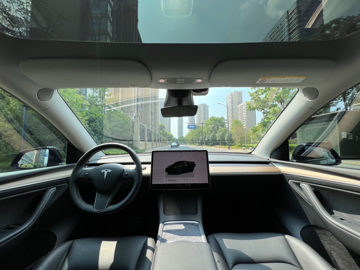 特斯拉 Model Y  2021款 改款 標(biāo)準(zhǔn)續(xù)航后驅(qū)升級版圖片