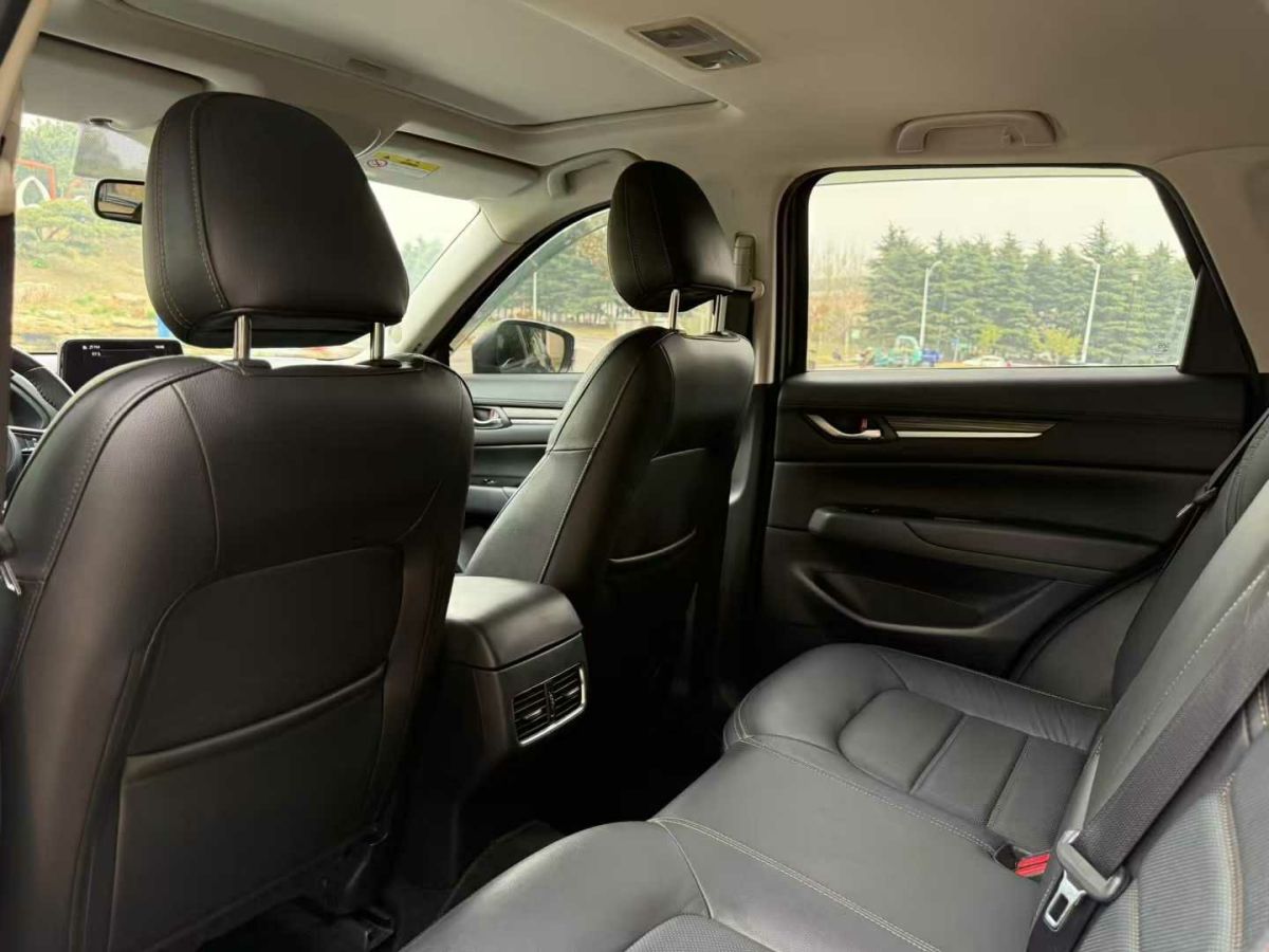 馬自達(dá) CX-5  2019款  云控版 2.0L 自動(dòng)兩驅(qū)智享型 國VI圖片